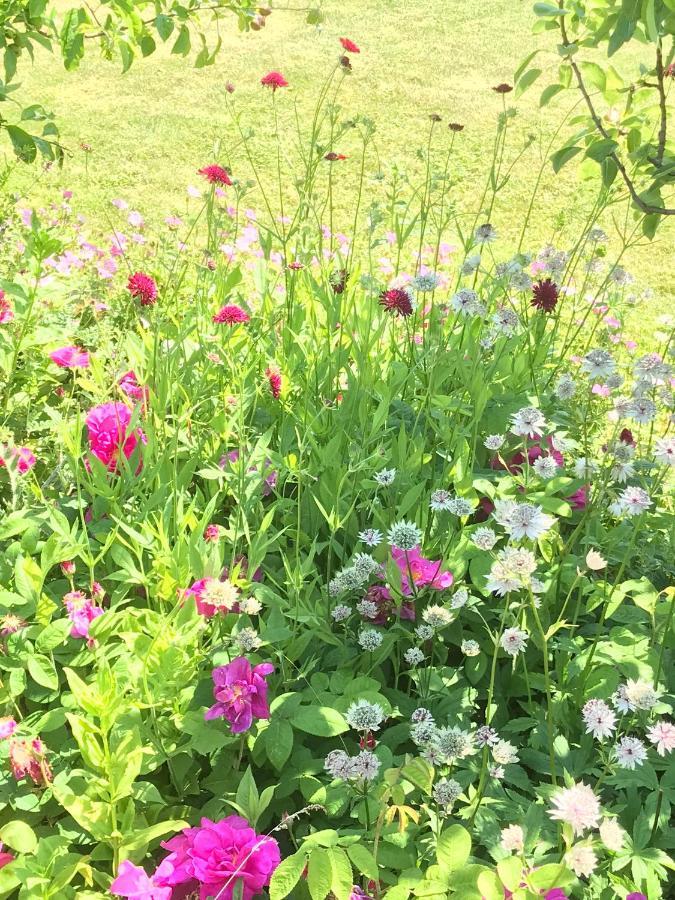 וולס Beryl Country House מראה חיצוני תמונה